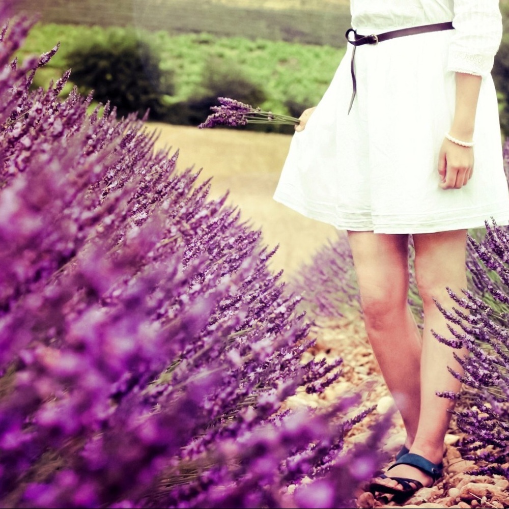 Meet your Posh Ambassador!